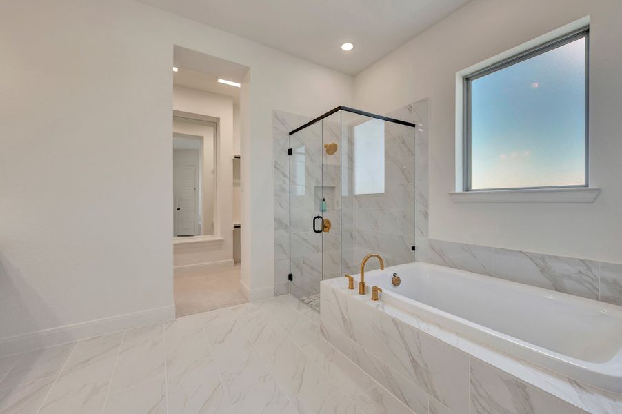 Owner's Bath