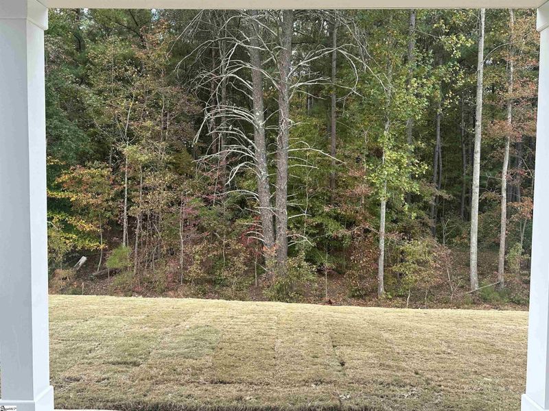 Image 33 of a home in Shiloh Trail.