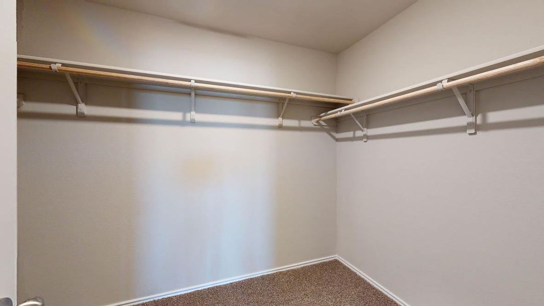 Walk in closet with carpet flooring