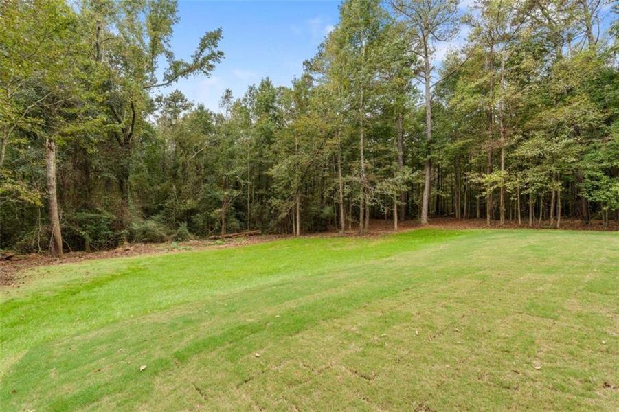 Natural landscape and outdoor views near  in Bowdon (Image 38).