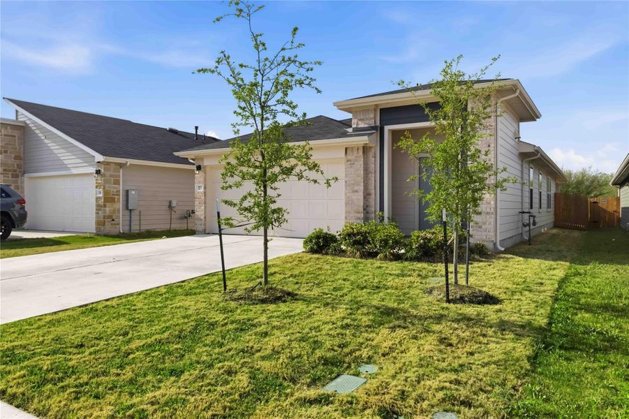 Young landscaping flourishes with automatic in ground irrigation on the front & back yards. Young landscaping flourishes with automatic in ground irrigation on the front & back yards.