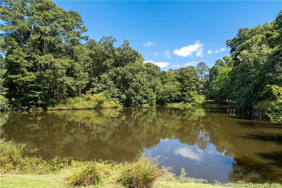 Natural landscape and outdoor views near Vickery in Cumming (Image 35).