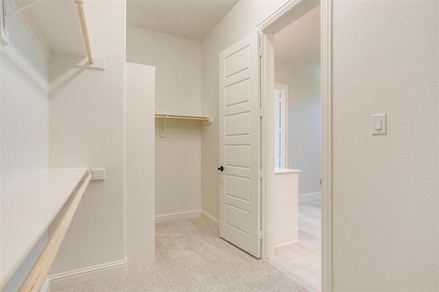 Spacious closet featuring light carpet