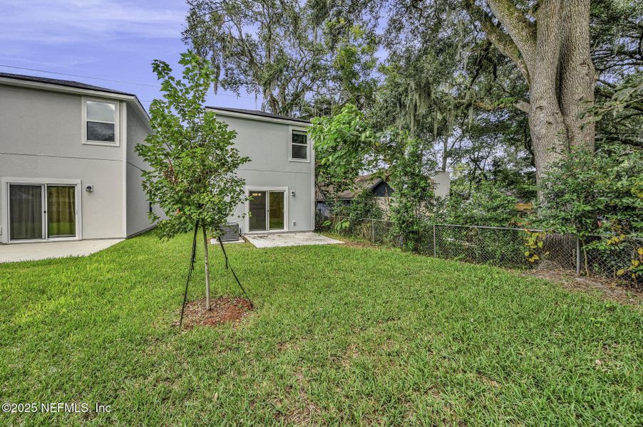 Natural landscape and outdoor views near in Jacksonville (Image 32). Natural landscape and outdoor views near in Jacksonville (Image 32).