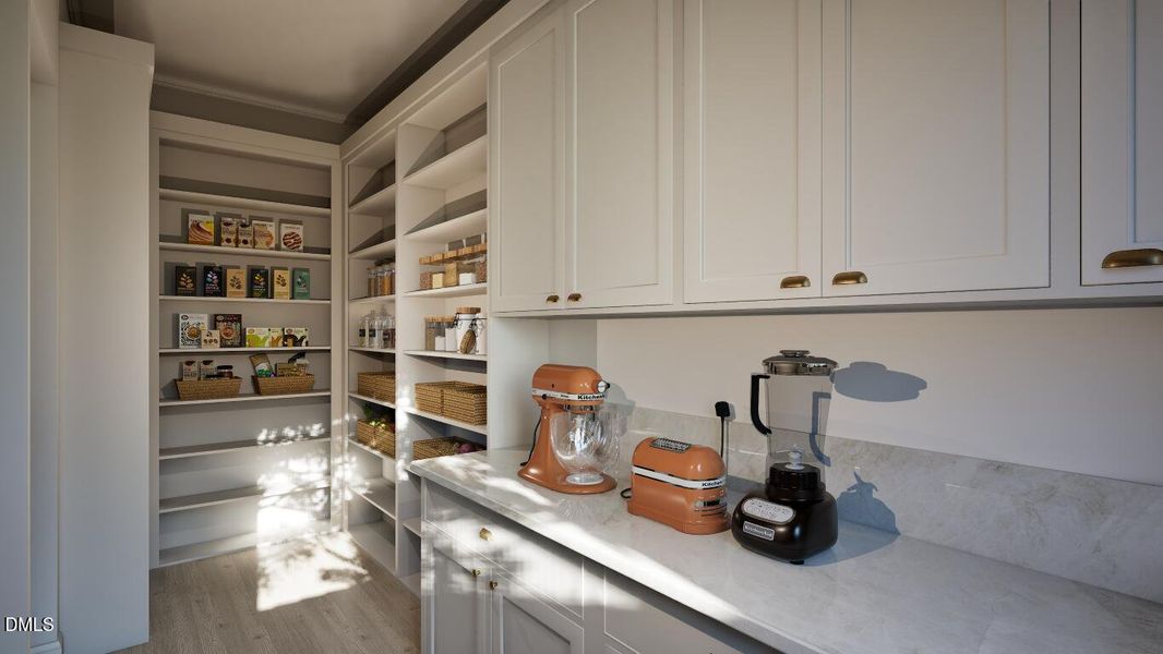 Image18 (Medium) Image18 (Medium)