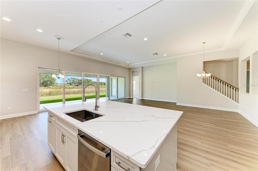 Furnished interior view inside a new home in Hawkstone, Lithia (Image 12).