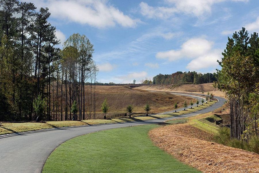 Natural landscape and outdoor views near Bridgeberry in Holly Springs (Image 47).