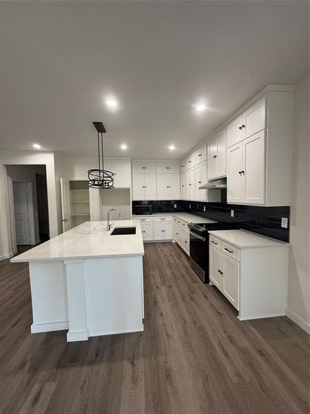 Kitchen with tasteful backsplash, dark wood-style flooring, range, and a sink