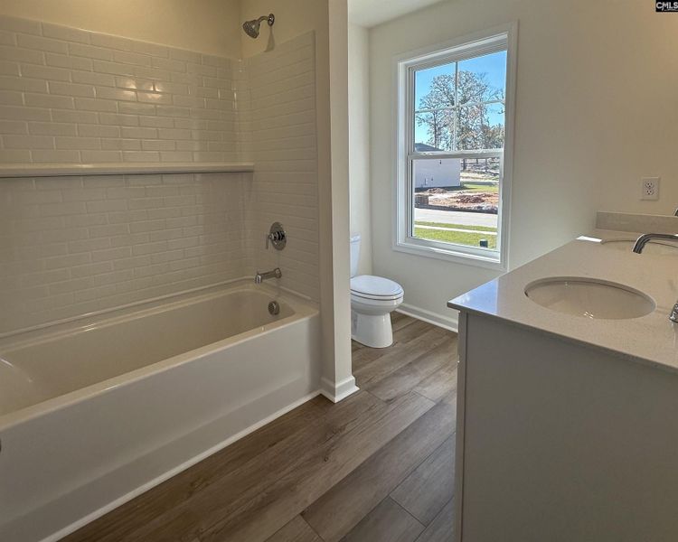 Furnished interior view inside a new home in Boykin Hills, Chapin (Image 5).