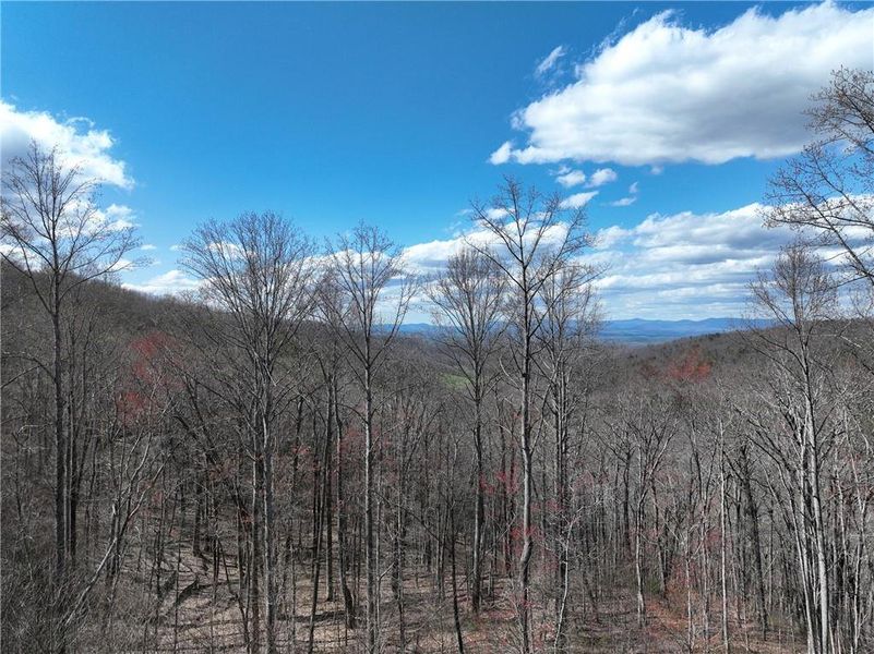 Image 13 of a home in .