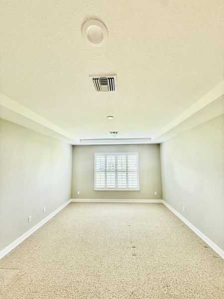 Enormous Master Suite, Tray Ceiling
