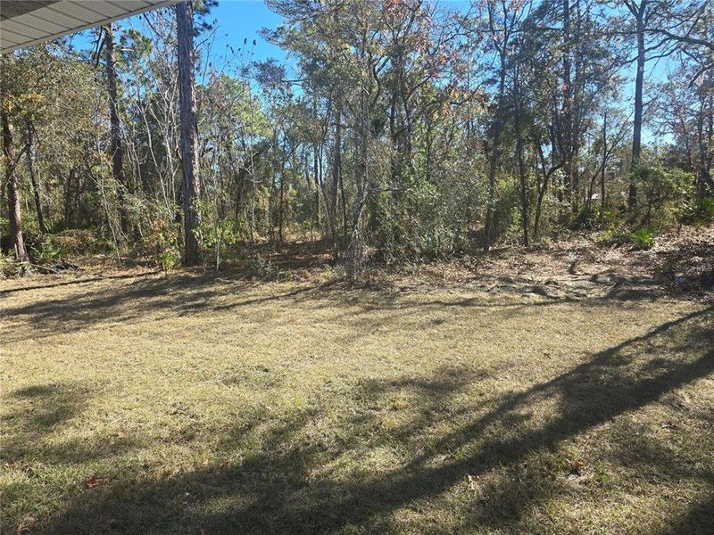 Natural landscape and outdoor views near Sugarmill Woods in Homosassa (Image 18).