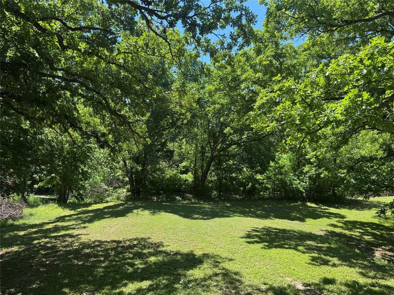 Natural landscape and outdoor views near  in Gainesville (Image 7).