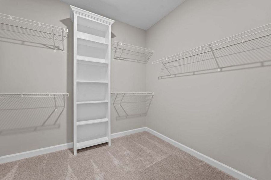 Sweater Tower Option