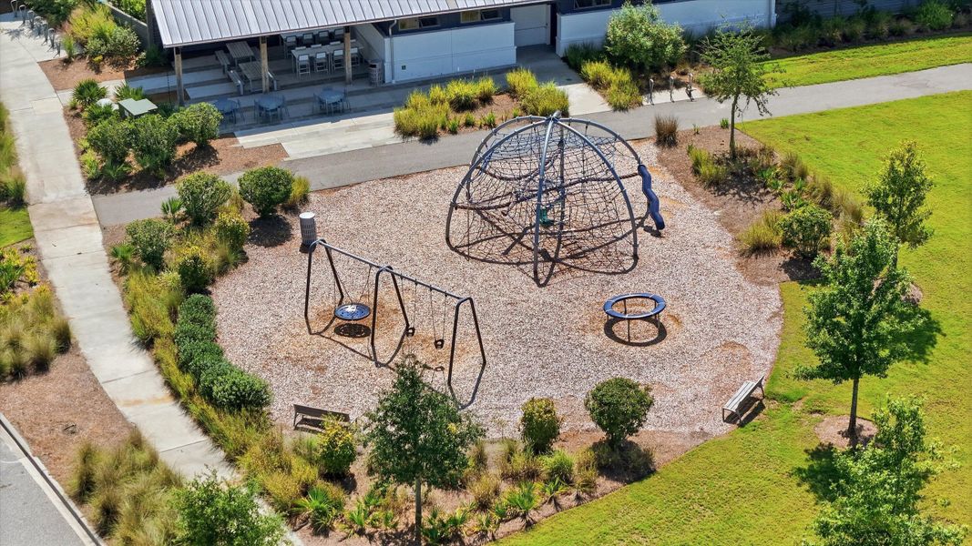 Community amenities in Nexton - Midtown - The Village Collection, Summerville (Image 41).