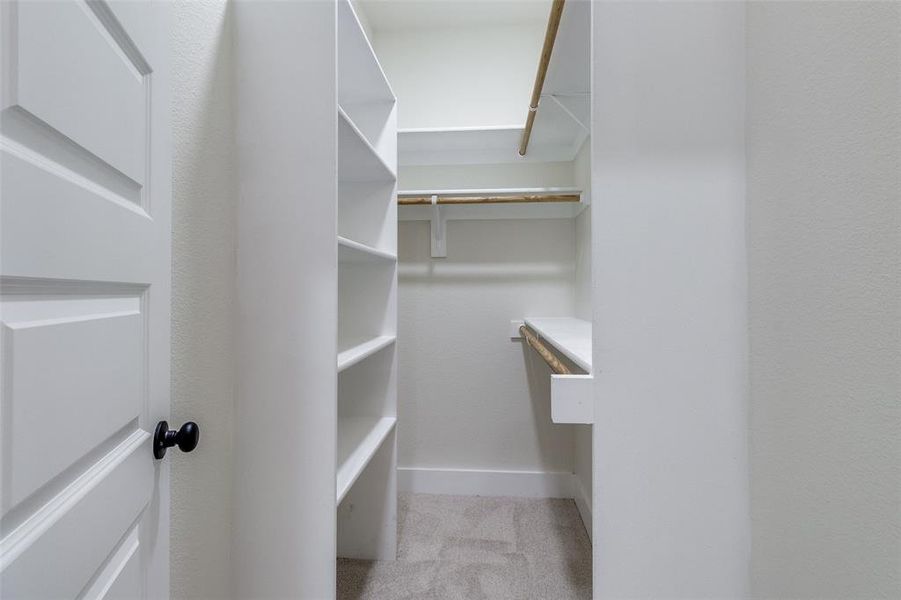 Walk in closet with light carpet