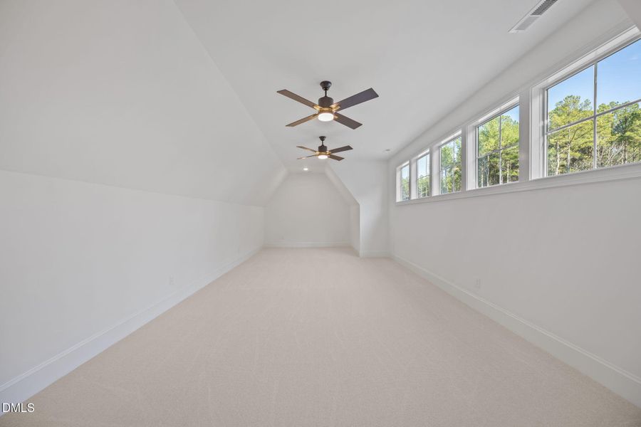 54-web-or-mls-IMG_1626