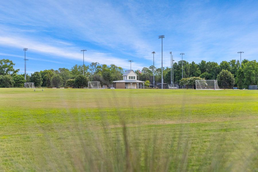 Natural landscape and outdoor views near  in Charleston (Image 13).