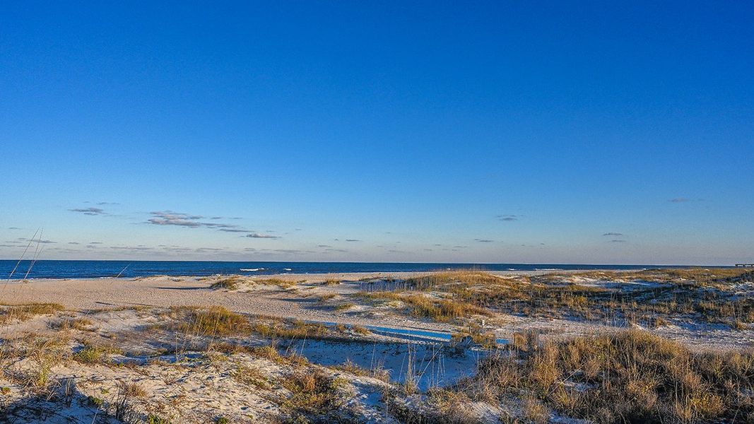 Natural landscape and outdoor views near Colbert Landings in Palm Coast (Image 71).