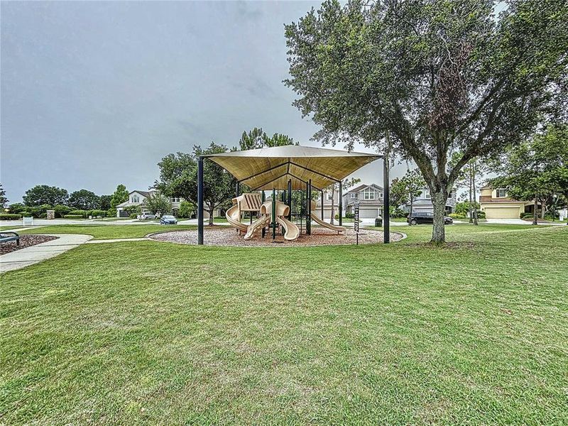 Community amenities in , Wesley Chapel (Image 44).