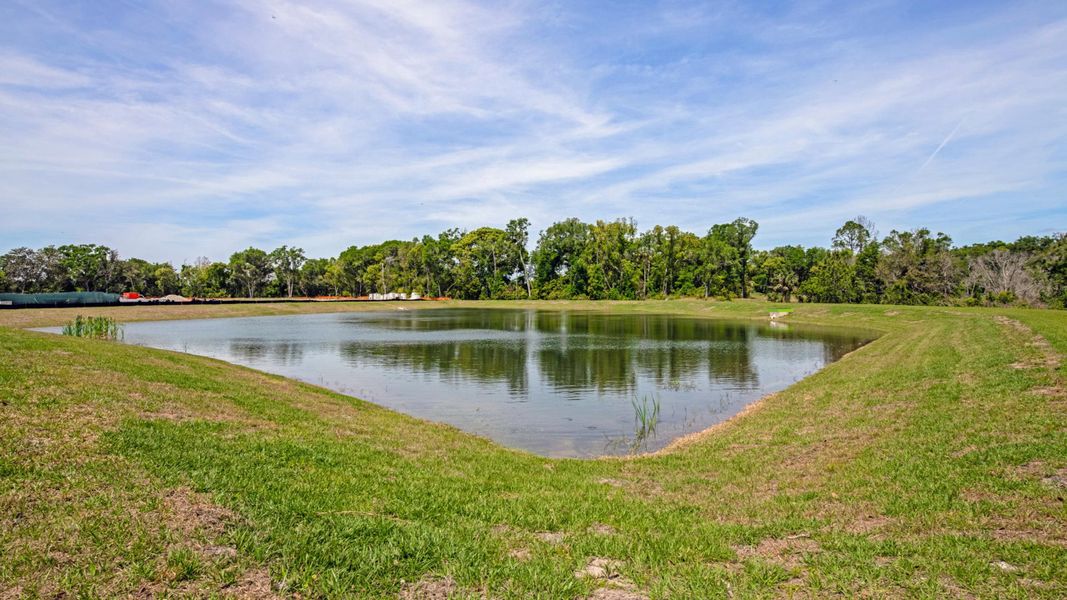 Water Views