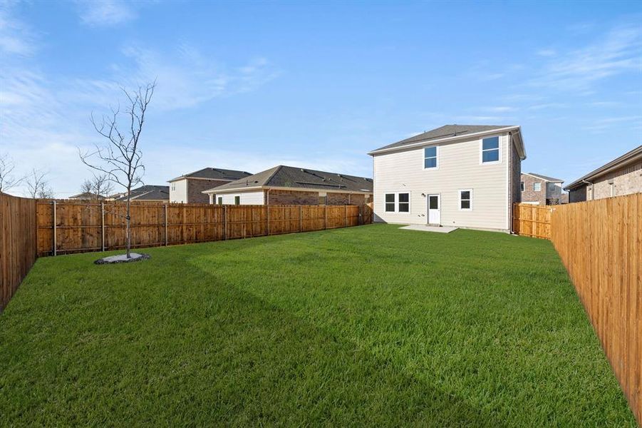 27. 205 Connecticut - Back (2)