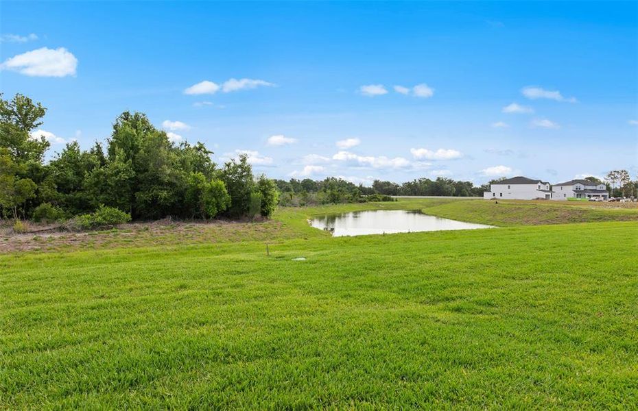 Natural landscape and outdoor views near Reagan Landing in Bradenton (Image 33). Natural landscape and outdoor views near Reagan Landing in Bradenton (Image 33).