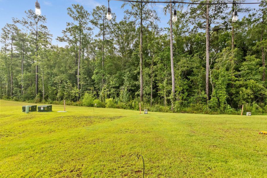 Natural landscape and outdoor views near  in Summerville (Image 49).