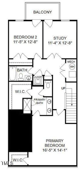 Tessa Level 2 Study Tessa Level 2 Study