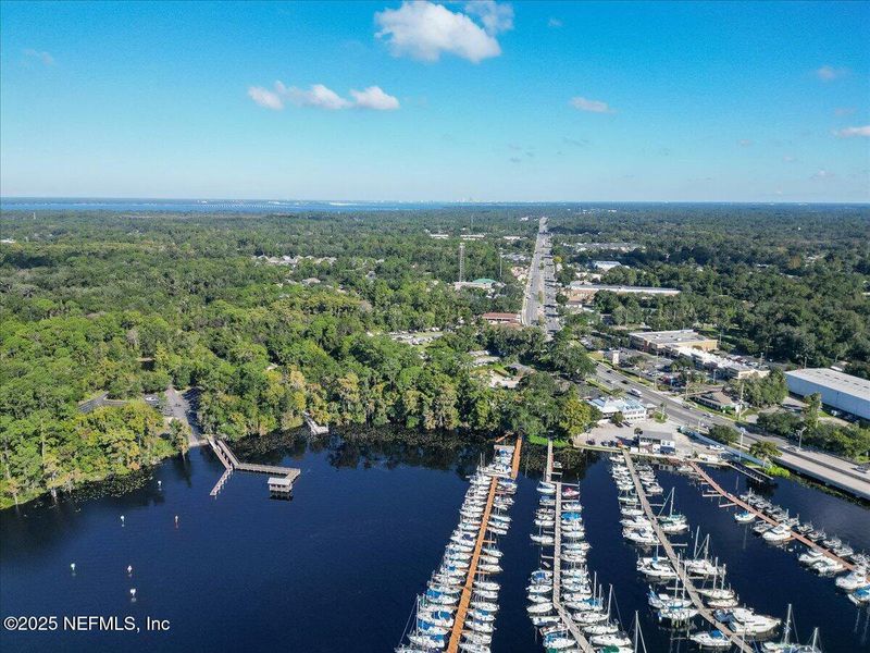 Natural landscape and outdoor views near  in Jacksonville (Image 51).