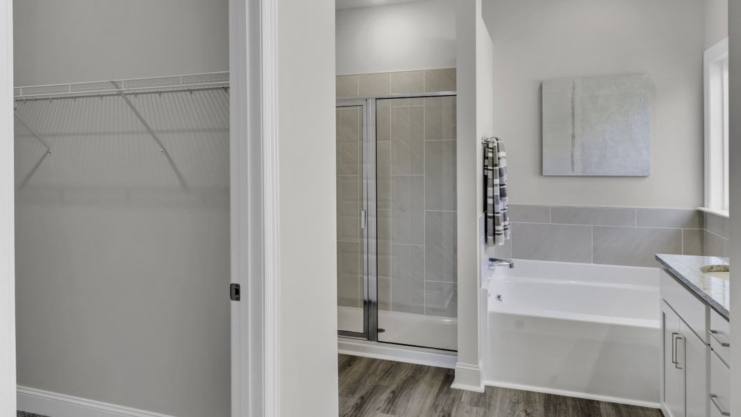 Furnished interior view inside a new home in Hedge Rose, Somerville (Image 17). Furnished interior view inside a new home in Hedge Rose, Somerville (Image 17).