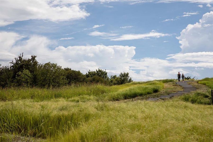 Natural landscape and outdoor views near Walsh in Aledo (Image 12).
