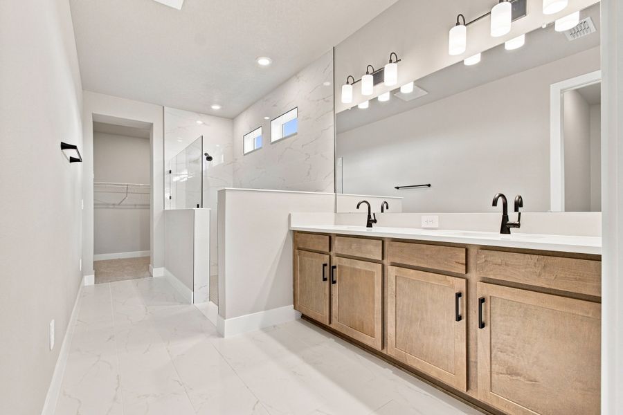 Owner's Bath