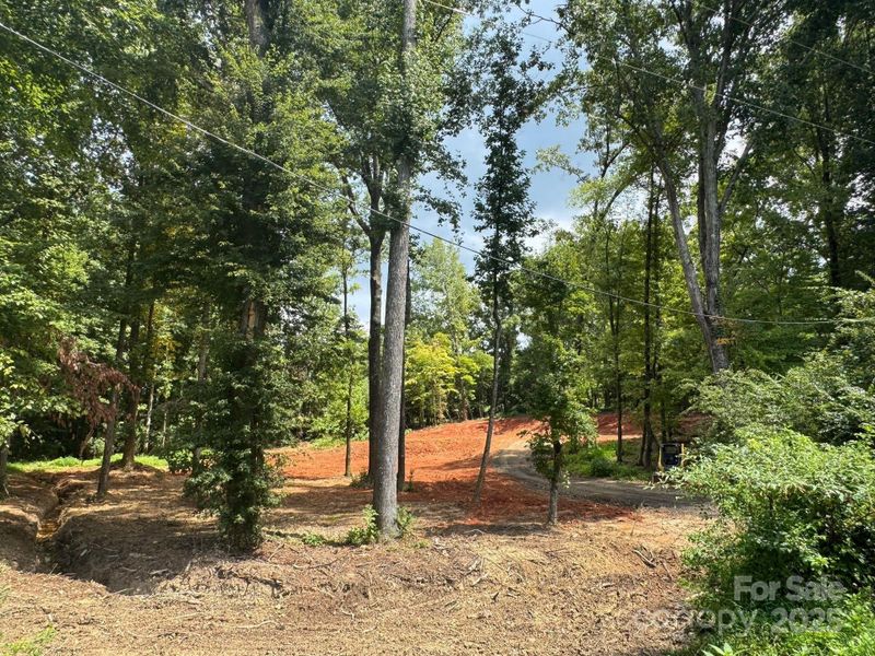 Natural landscape and outdoor views near  in Waxhaw (Image 9).