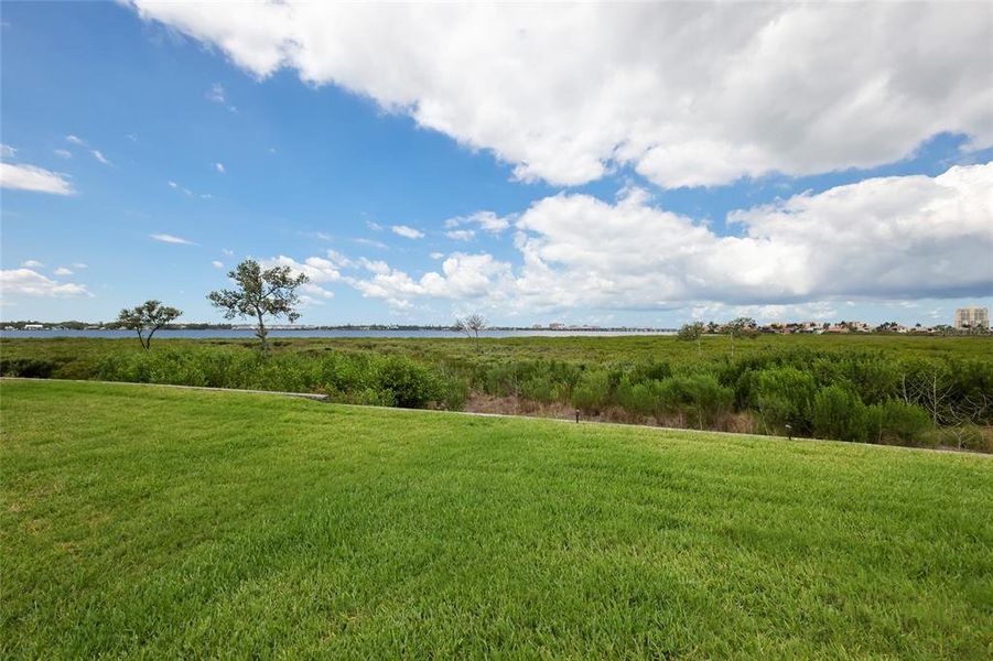 Natural landscape and outdoor views near  in Palmetto (Image 50).