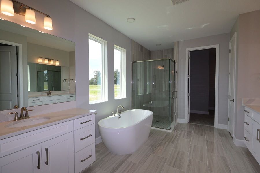 Owner's Bathroom