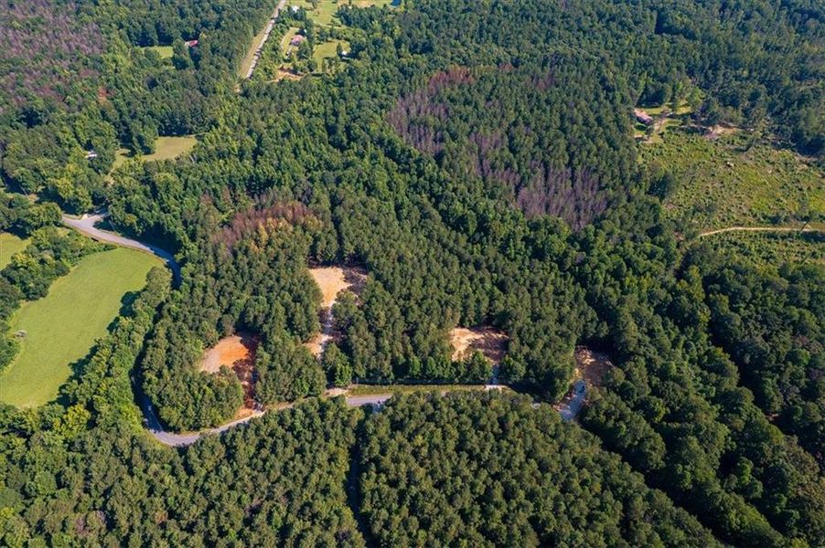 Natural landscape and outdoor views near  in Rockmart (Image 36).