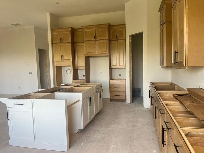 Spacious, unfurnished interior of a new home in Horizon at Laurel Canyon, Canton (Image 14).