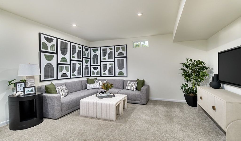 Coronado-733-WildernessShores Basement