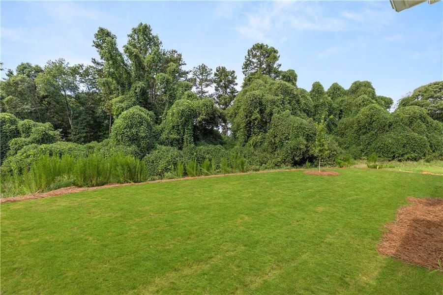 Natural landscape and outdoor views near Cedar Farms in Winder (Image 33).
