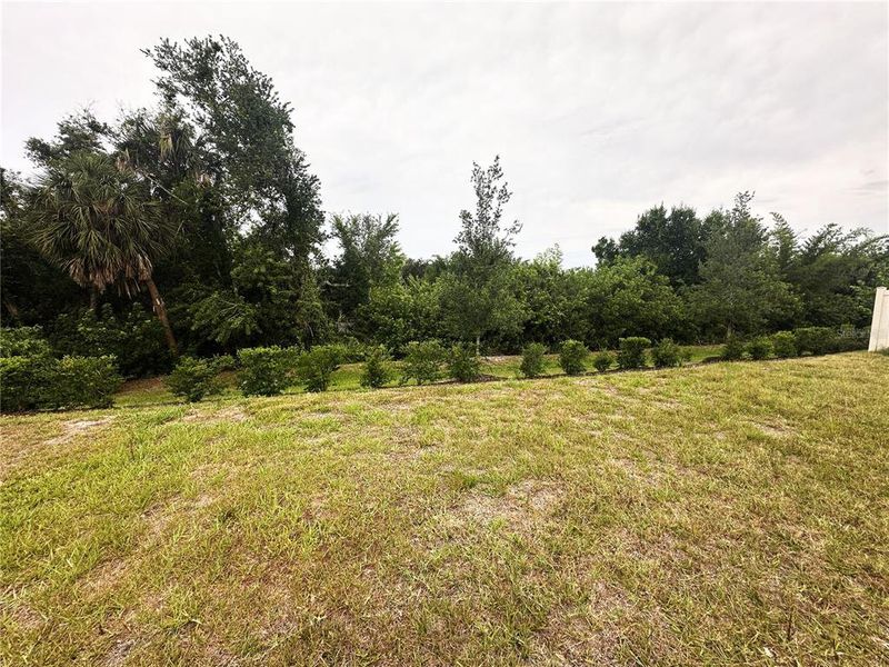 Natural landscape and outdoor views near Silverstone North in Palmetto (Image 32).