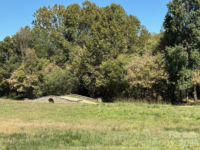 The Red Hill walking trail bridge. The Red Hill walking trail bridge.