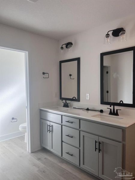 Furnished interior view inside a new home in Blossom Grove, Milton (Image 6).