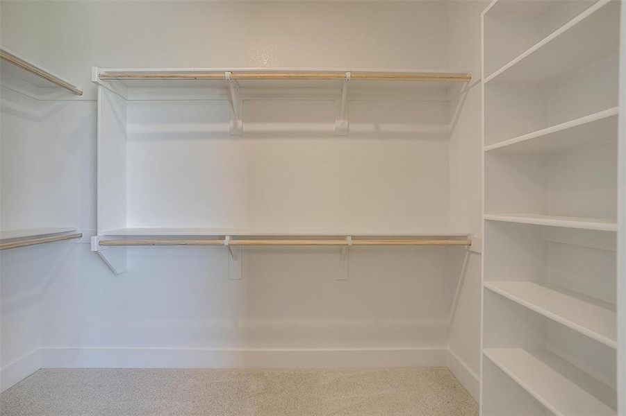 Walk in closet featuring carpet floors Walk in closet featuring carpet floors
