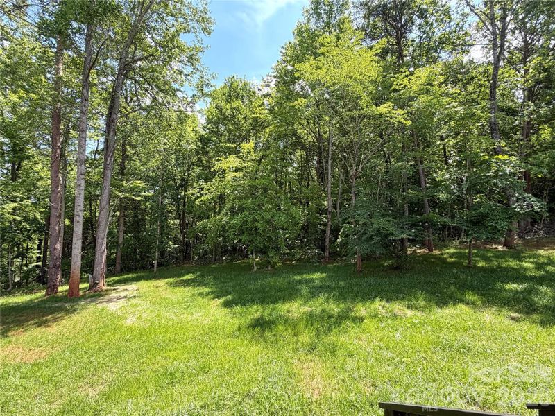 backyard backyard