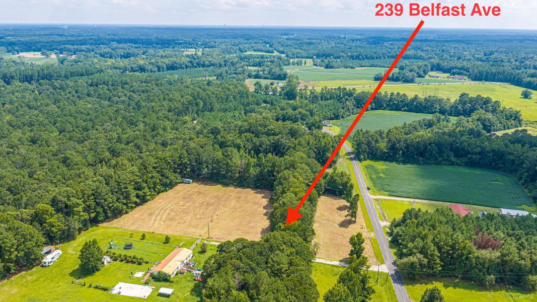 Site preparation for new homesites in , Holly Hill (Image 48).