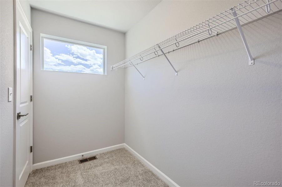 Spacious, unfurnished interior of a new home in , Fort Collins (Image 18).