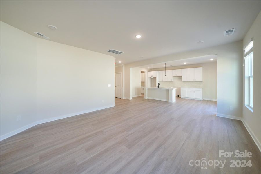 Family Room features LVP flooring with an extra storage closet under the stairs