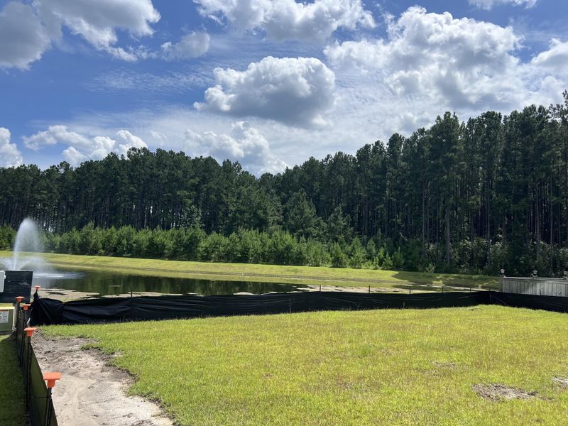 Natural landscape and outdoor views near Lochton in Summerville (Image 23).