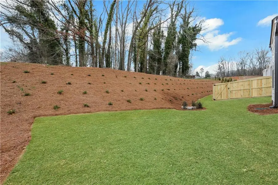 Image 64 of a home in Villas at Dawsonville.